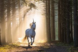 Ein magisches Einhorn im Wald
