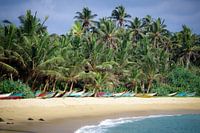 Bateaux en bois sur la plage de Mirissa
