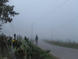 Spooky Morning van Willemijn Wolthaus