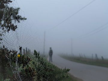 phantom in the mist by Willemijn Wolthaus