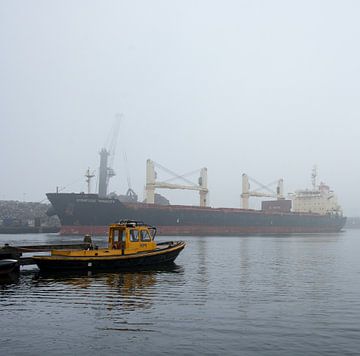 Vrachtschip in de mist van de haven Amsterdam. van scheepskijkerhavenfotografie