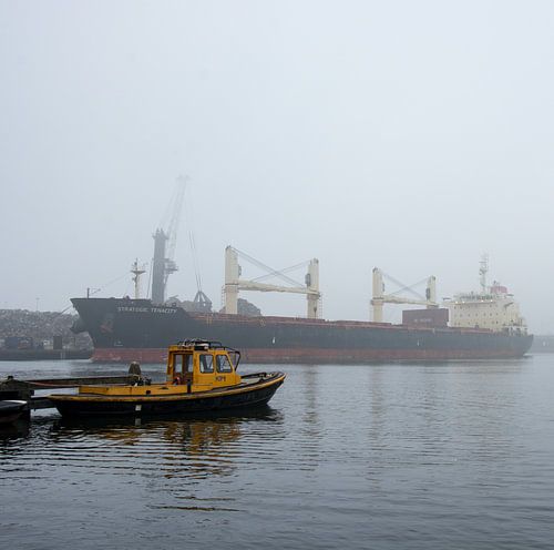 Vrachtschip in de mist van de haven Amsterdam.