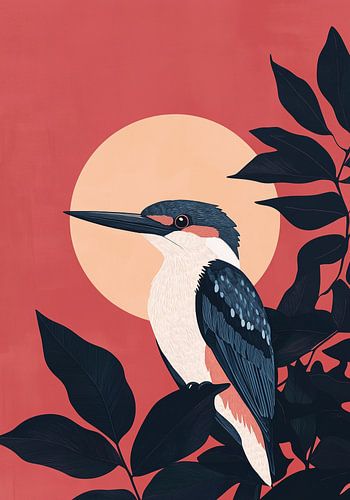 Martin-pêcheur au coucher du soleil