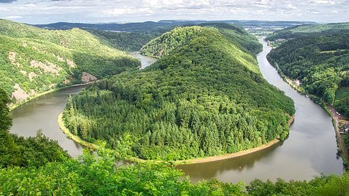 Uitzicht op de Saarschleife vanaf de boomkroonobservatietoren. Een uitkijktoren in het Saarland