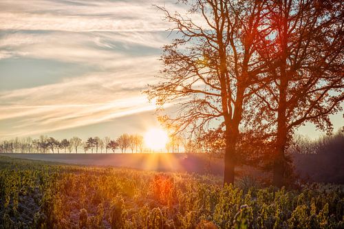 Paysage au lever du soleil