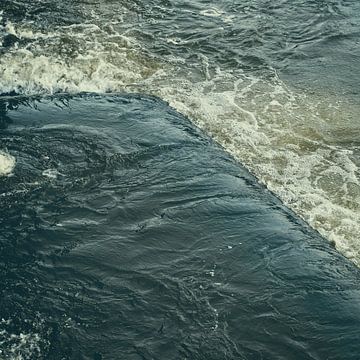 la forme de l'eau sur Ann Beckers