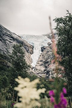 Glacier | Norvège | Jodestalbreen