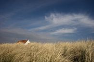 huisje in de duinen van Marja van Noort thumbnail