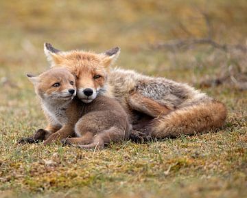Safe with mommy by Patrick van Bakkum