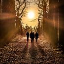 Wandelaars in het bos met de zon in het tegenlicht van Harrie Muis thumbnail