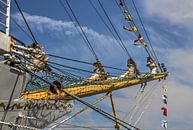 Sail Amsterdam, detail van Rob Handgraaf thumbnail