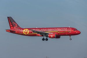 Ein Airbus A320 der Brussels Airlines in den Farben der Red Devils landet auf dem Brüsseler Flughafe von Jaap van den Berg