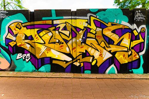 Street Art De Berenkuil "Step in The Arena" Eindhoven