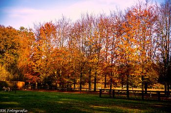 Herbst 2020