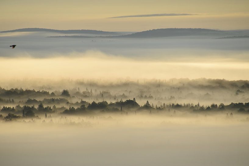 Ein Nebel an einem Herbstmorgen von Claude Laprise