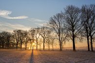 Winters landschap in tegenlicht van Marijke van Eijkeren thumbnail