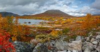 Indian Summer Norway