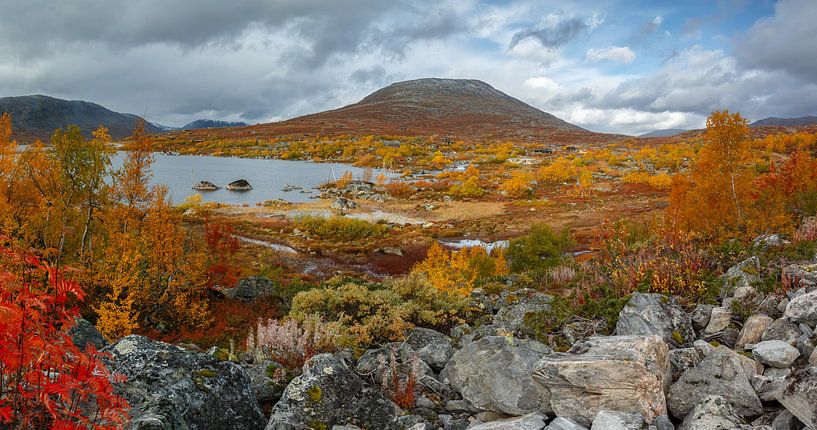 Indian Summer Norway by Menno Schaefer