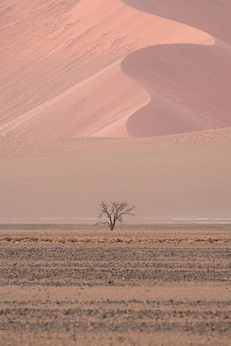 Autumn Dune