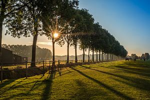 Herfstkleuren sur Moetwil en van Dijk - Fotografie