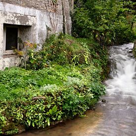 Norman brook by Mark Leeman