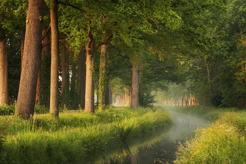 Slechts een lentemorgen in Nederland van Martin Podt