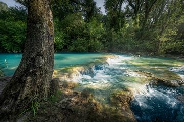 Der Fluss Elsa und ein Baum entlang des Sentierelsa-Pfades von Stefano Orazzini