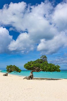 Waanzinnige kleuren op een Caribisch strand