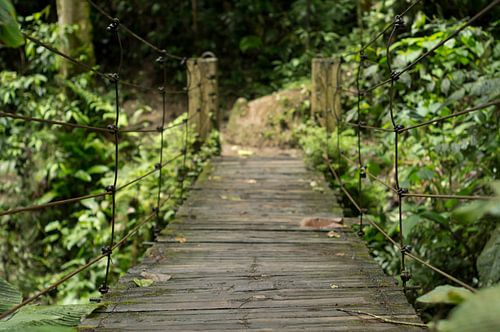 Houten brug in de jungle van Ecuador