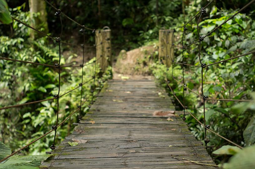 Houten brug in de jungle van Ecuador van Jos van Ooij