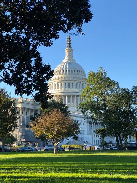Washington DC by Hello Pompoyo