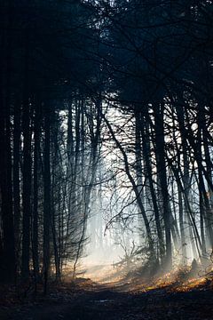 De mist en de zon van Kim Jansen