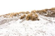 Ameland Dünen im Schnee 01 von Everards Photography Miniaturansicht