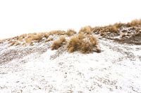 Ameland Dünen im Schnee 01