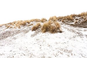 Ameland duinen in de sneeuw 01 van Everards Photography