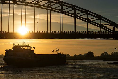 Vierdaagse start 2014, 2