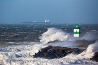 November Storm II