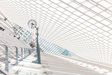 Liège-Guillemins van Gerben Steyaert