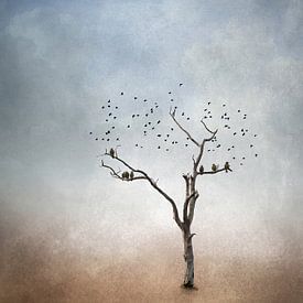 Cloud of starlings by Iris van Heusden