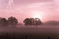 Sunrise in Twente | pink and black