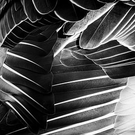 Schichten von Niwo Photography