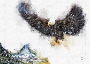 Aigle volant au Cervin