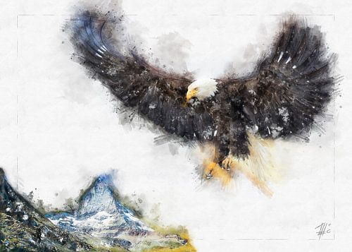 Vliegende adelaar op de Matterhorn