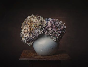 Still life with Hydrangea - Dark Fine Art Photography by Scarlett Bus