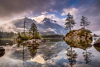 Mooi landschap