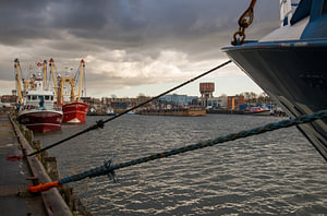 Fischereifahrzeuge im Hafen von IJmuiden