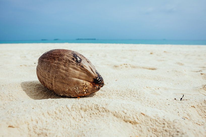 Noix de coco par Christian Späth