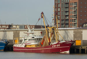 Kutter KW 88 im Hafen von IJmuiden festgemacht