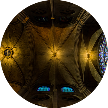 Het plafond van de Notre-Dame van Damien Franscoise
