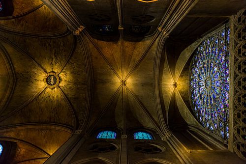 Het plafond van de Notre-Dame